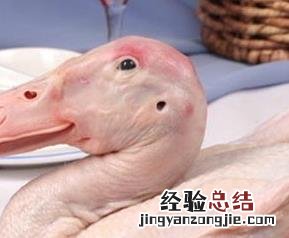 鸭肉的营养价值 鸭肉的营养价值及危害