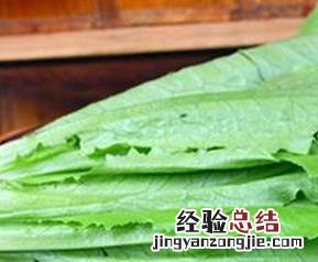 茼蒿的功效与作用 油麦菜的功效与作用