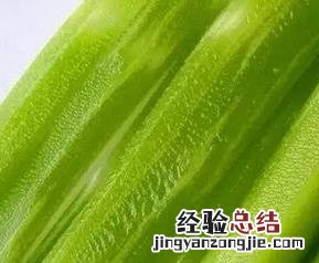 莴苣的功效与作用以及营养价值 莴苣的药用价值有哪些