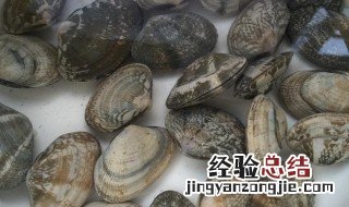 花甲怎么清洗 花甲可不可以用热水焯