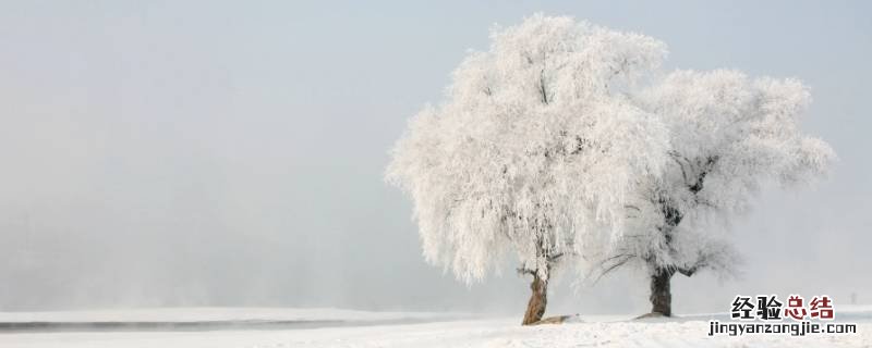 下雪天有雾凇吗 下雨有雾凇吗