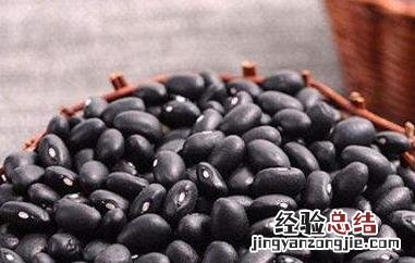 黑豆怎么吃黑发 黑豆黑发的吃法