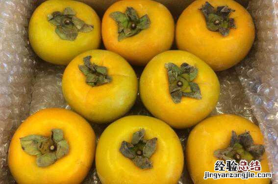 青柿子怎么去涩又脆又甜的 青柿子怎么去涩又脆又甜