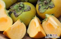 青柿子怎么去涩又脆又甜的 青柿子怎么去涩又脆又甜