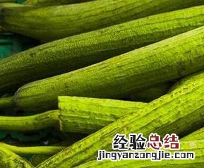 丝瓜怎么做好吃 棱角丝瓜怎么做好吃