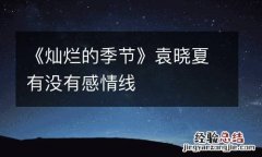 《灿烂的季节》袁晓夏有没有感情线