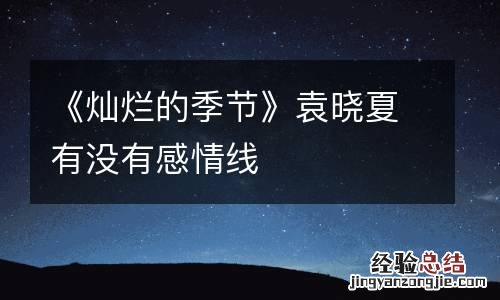 《灿烂的季节》袁晓夏有没有感情线