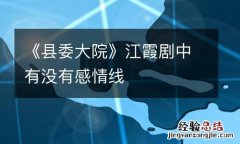 《县委大院》江霞剧中有没有感情线