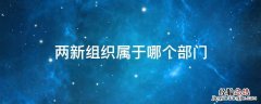 两新组织由谁负责 两新组织属于哪个部门