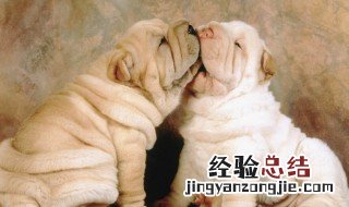 梦见被狗咬手是什么意思 梦见狗咬手是什么意思,还出血了