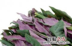 观音菜的功效与作用 观音菜的功效与作用及食用方法