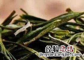 怎样鉴定君山银针茶的真假图片 怎样鉴定君山银针茶的真假