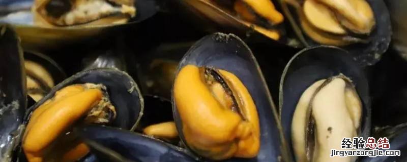 海虹几分钟能蒸熟 海虹开锅后蒸几分钟熟