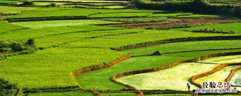 高标准农田建设的内容,高标准农田建设的目的和意义