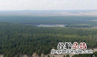 三北防护林是哪三北 三北防护林简单介绍