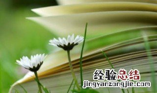 稀奇古怪的奇是什么意思 稀奇古怪的解释