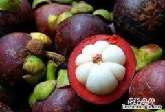 山竹壳泡水喝的功效与作用，山竹壳煮水喝的功效