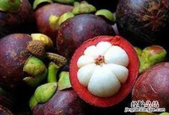 山竹壳泡水喝的功效与作用,山竹壳煮水喝的功效