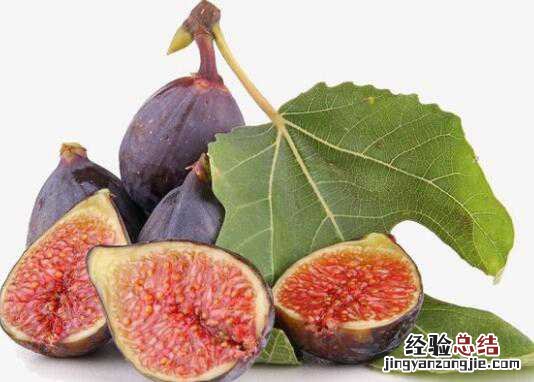 鲜无花果的功效与作用，新鲜无花果怎么吃