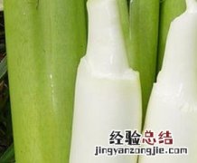 茭白的功效与作用 产妇吃茭白的功效与作用