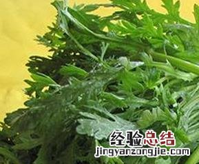 茼蒿的功效与作用 小叶茼蒿的功效与作用