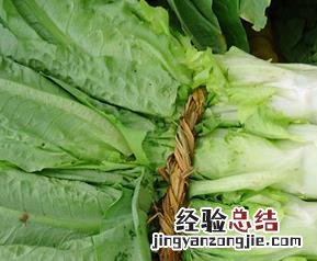 莴苣的功效与作用 莴苣的功效与作用及图片