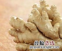 生姜治疗脱发的方法有哪些 生姜治疗脱发的方法