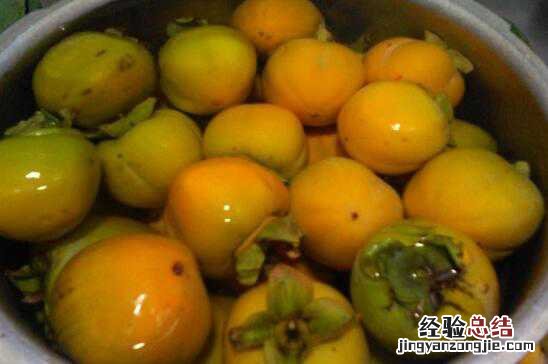青柿子泡酒的功效与作用及禁忌 青柿子泡酒的功效与作用