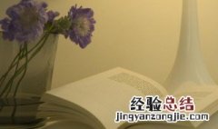 一尘不染的一是什么意思 一尘不染的含义