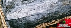 干海带用什么泡发 正确泡发干海带的方法