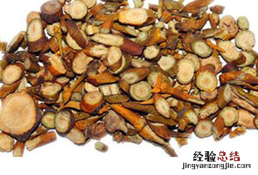 桑寄生 桑寄生的功效与作用