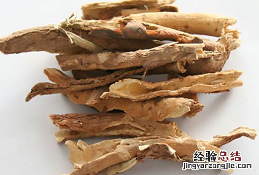 五加皮的功效与作用 五加皮