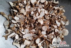 穿山龙别名叫什么 穿山龙
