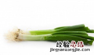 羊角葱和大葱的区别 羊角葱和大葱哪个好