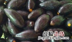 乌橄榄的腌制方法 如何腌制乌橄榄