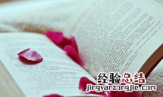 卵组词和拼音 卵怎么组词