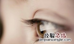 睫毛怎么读 睫毛怎样读