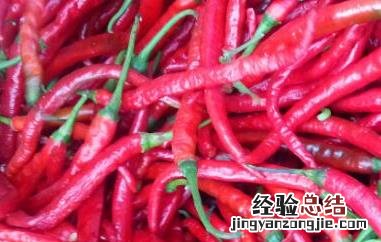 子弹头辣椒和二荆条的区别 二荆条辣还是子弹头辣