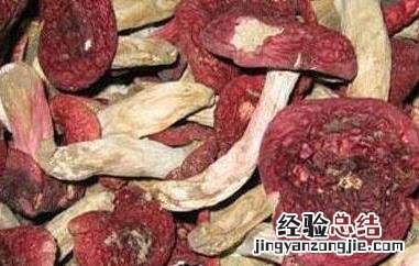 血蘑菇怎么做好吃 血菇怎么做好吃