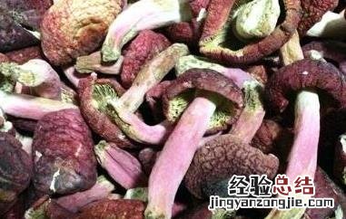 血蘑菇怎么做好吃 血菇怎么做好吃