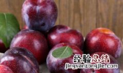 孕妇吃李子的注意事项 这两点孕妇可千万要注意了