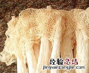 竹荪怎么泡发最好 竹荪怎么泡发最好吃
