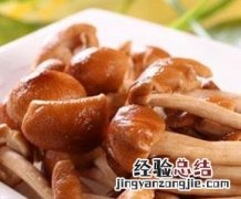 茶树菇的营养价值是什么 茶树菇的营养价值