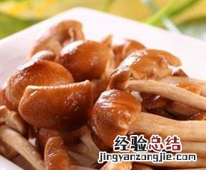 茶树菇的营养价值是什么 茶树菇的营养价值