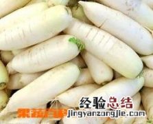 白萝卜怎么做好吃又简单凉菜 白萝卜怎么做好吃