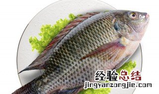 风干罗非鱼的腌制方法和配料 风干罗非鱼的腌制方法