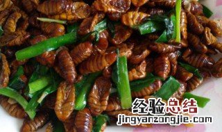 葱炒蚕蛹如何做 大葱耗油炒蚕蛹的做法