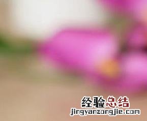 冬瓜的吃法有哪些 冬瓜有哪些吃法?