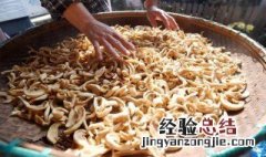 自晒萝卜干做法步骤 自晒萝卜干百科