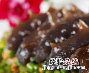 海参和辽参的功效与作用 辽参的功效与作用